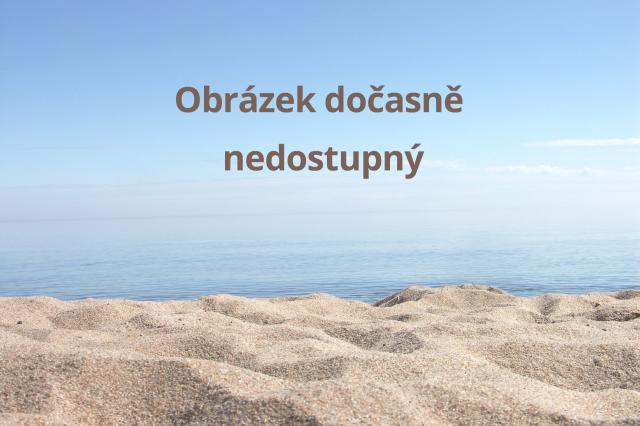 Pokoj Standard hygienické zařízení sprchový kout.