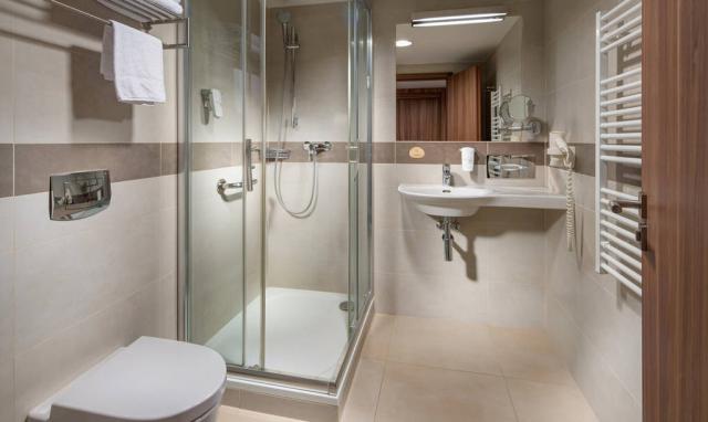 Pokoj Business hygienické zařízení sprchový kout.