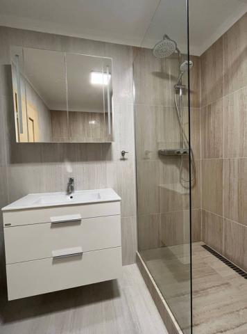 Apartmán hygienické zařízení sprchový kout.