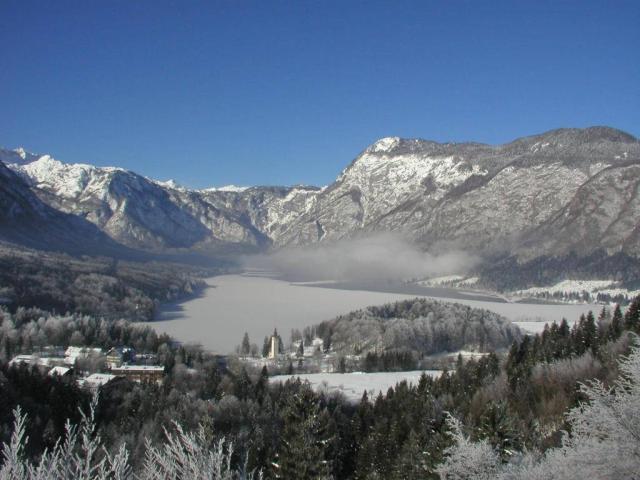 Bohinjske jezero v zimě.