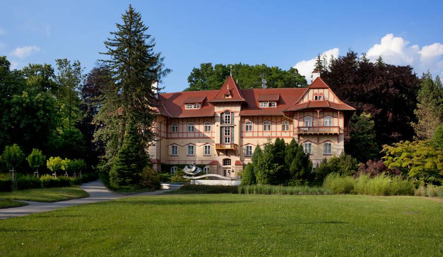 Jestřabí