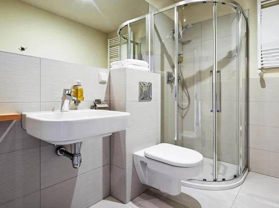 Apartmán hygienické zařízení sprchový kout.