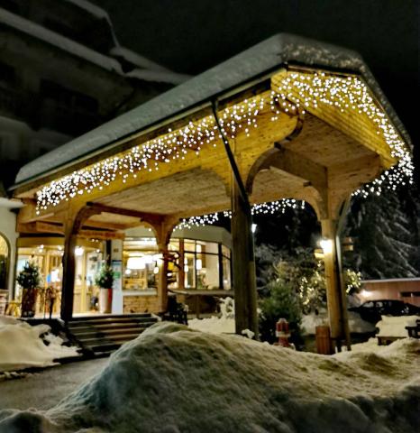 Vstup do hotelu zima.