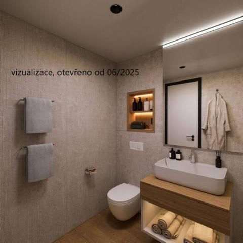Hotel Pelegrin Plava Laguna - koupelna s WC a umyvadlem.