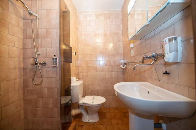 Pokoj hygienické zařízení sprchový kout.