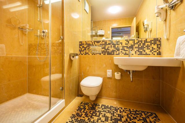 Pokoj hygienické zařízení se sprchovým koutem.