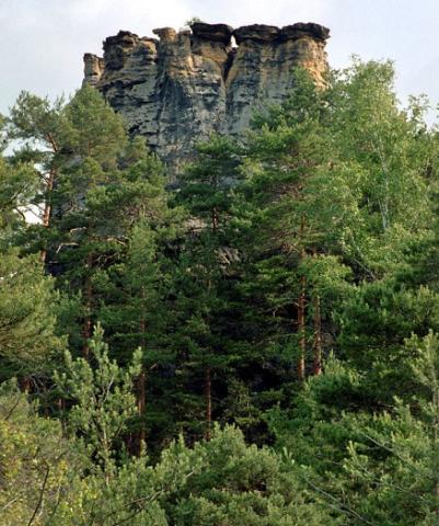 Pokličky.jpg