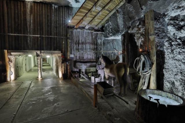 875px_trasa-turystyczna-galeria4-kopalnia-soli-wieliczka-080120