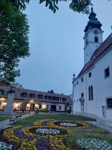 Obrázek WhatsApp, 2025-04-15 v 09.40.10_d8b61fd4.jpg