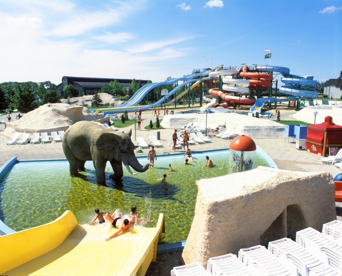aquapark-minicsuszdak_20110822161046_51.jpg