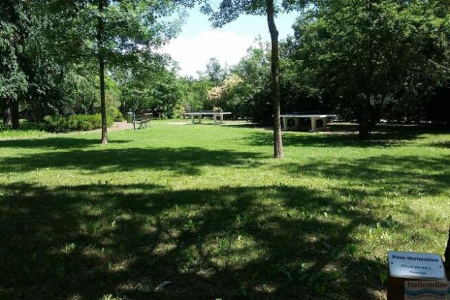 Green Village Resort