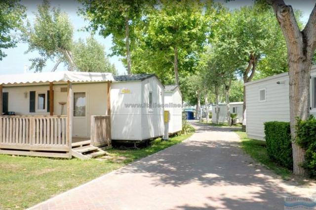 Camping Oasi