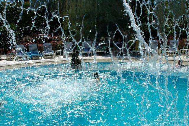 Camping Sabbiadoro