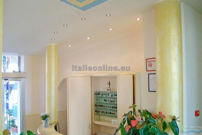 Hotel Robinia