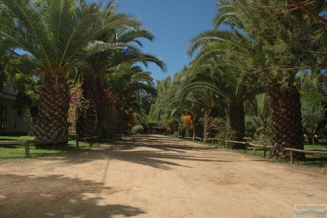 Camping Iscrixedda
