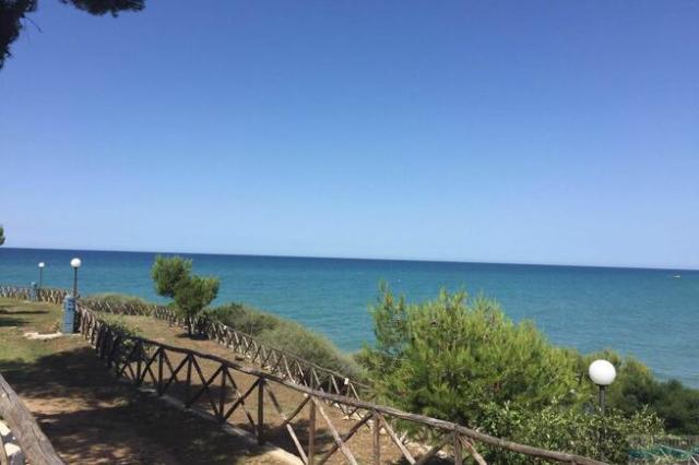 Camping Village Internazionale Manacore
