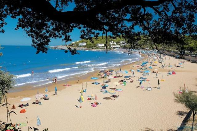 Camping Village Internazionale Manacore