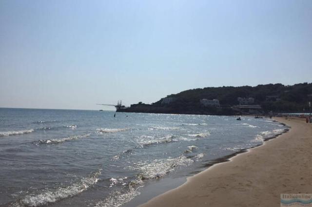 Camping Village Internazionale Manacore