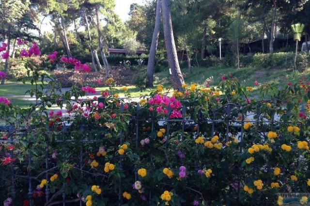 Camping Villaggio Internazionale (San Menaio)