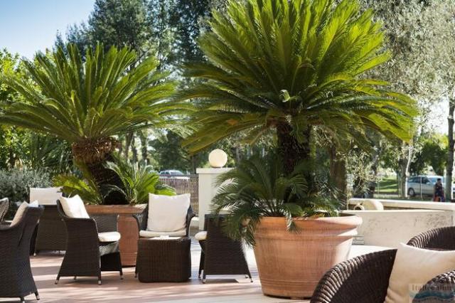 Hotel Savoy Beach & Thermal SPA