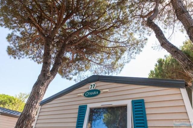Camping Village Pineta sul Mare