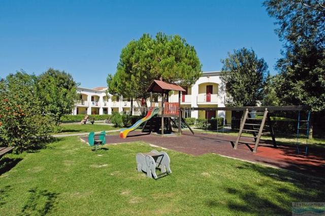 Villaggio Girasoli e Calycanthus