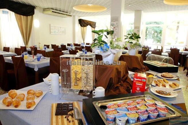 Hotel New Jolie