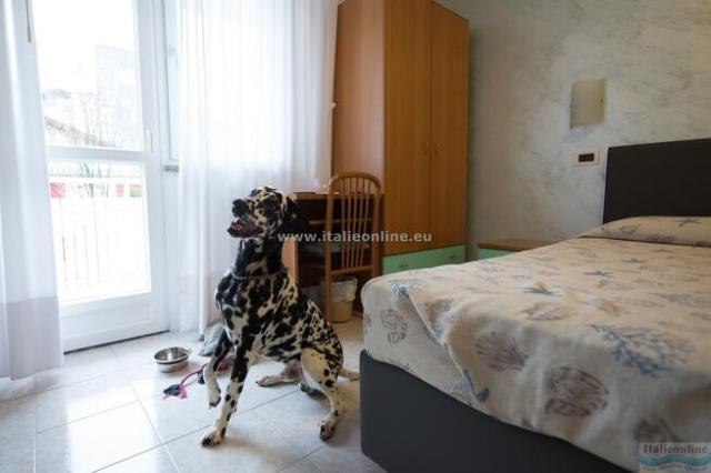 Hotel Villa Franca