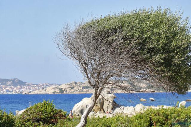 Club Esse Capo D’Orso