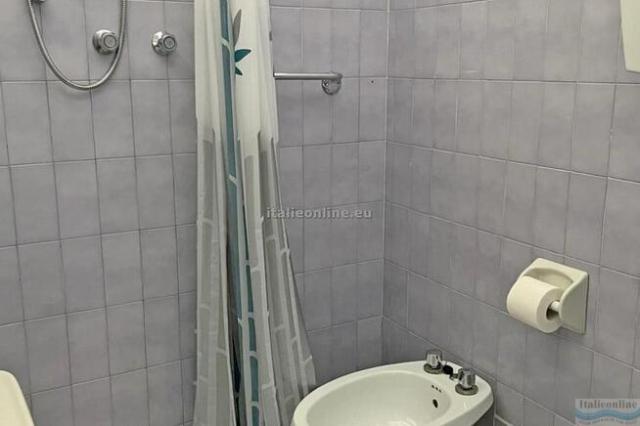 Hotel David