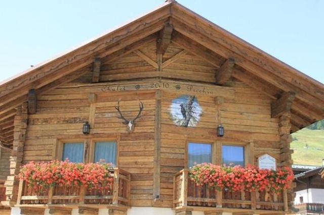 Freeski Chalet Picchio