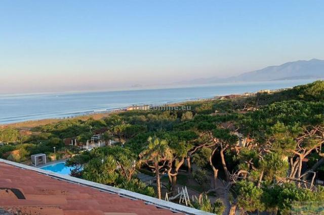 Hotel Domizia Palace