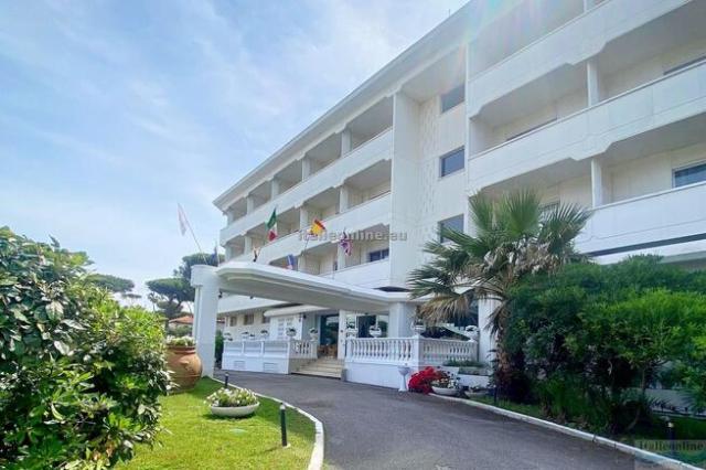Hotel Domizia Palace