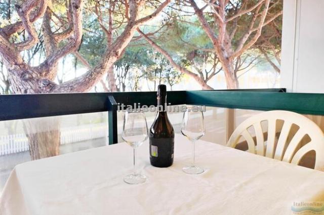 Residence Costa del Sol