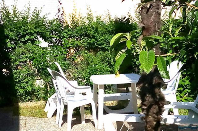 Villa Romantica