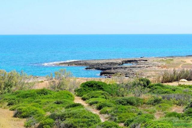 Camping Villaggio Lamaforca