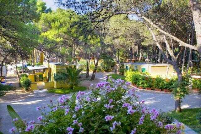 Camping La Vecchia Torre