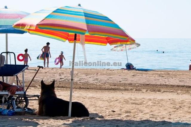 Jesolo Family Resort