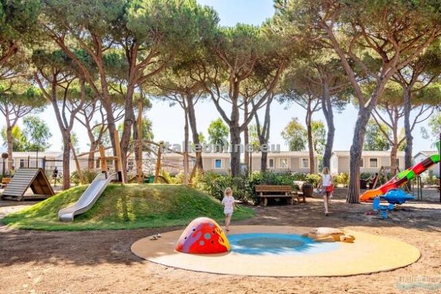 Orbetello Family Collection