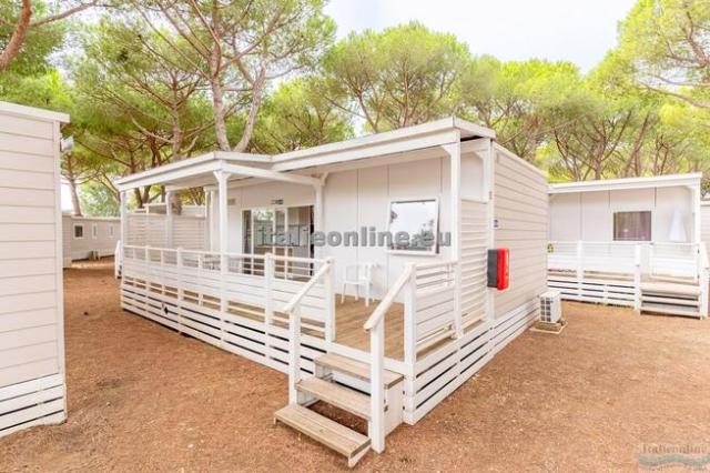 Orbetello Family Collection