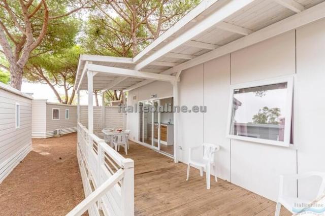 Orbetello Family Collection