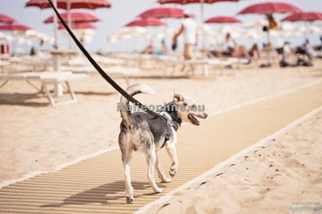 Rimini Family Resort