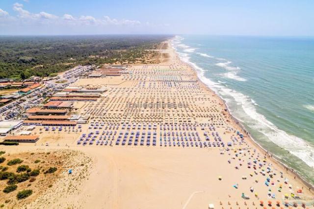 Viareggio Family Collection