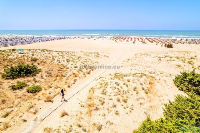 Viareggio Family Collection