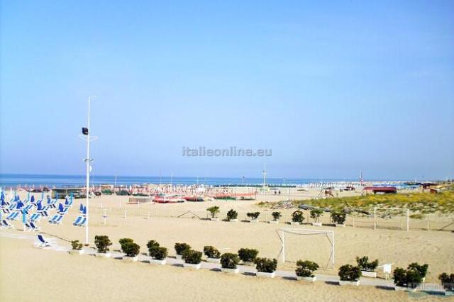 Viareggio Family Collection