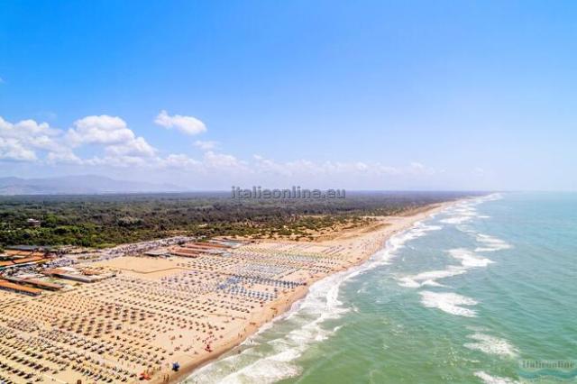 Viareggio Family Collection