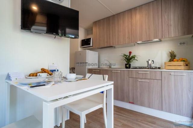 Viareggio Family Collection