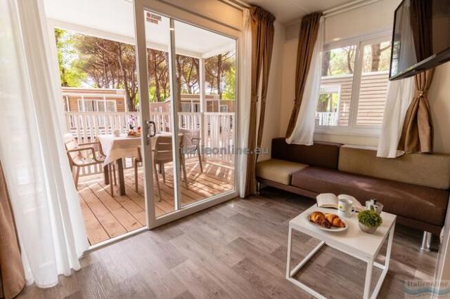 Viareggio Family Collection