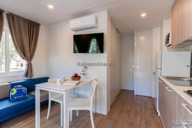 Viareggio Family Collection