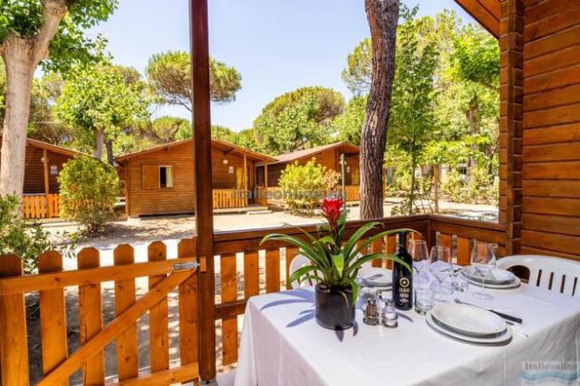 Viareggio Family Collection